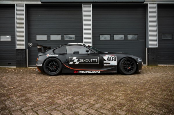 Detailfoto van Zilhouette (M54B30)